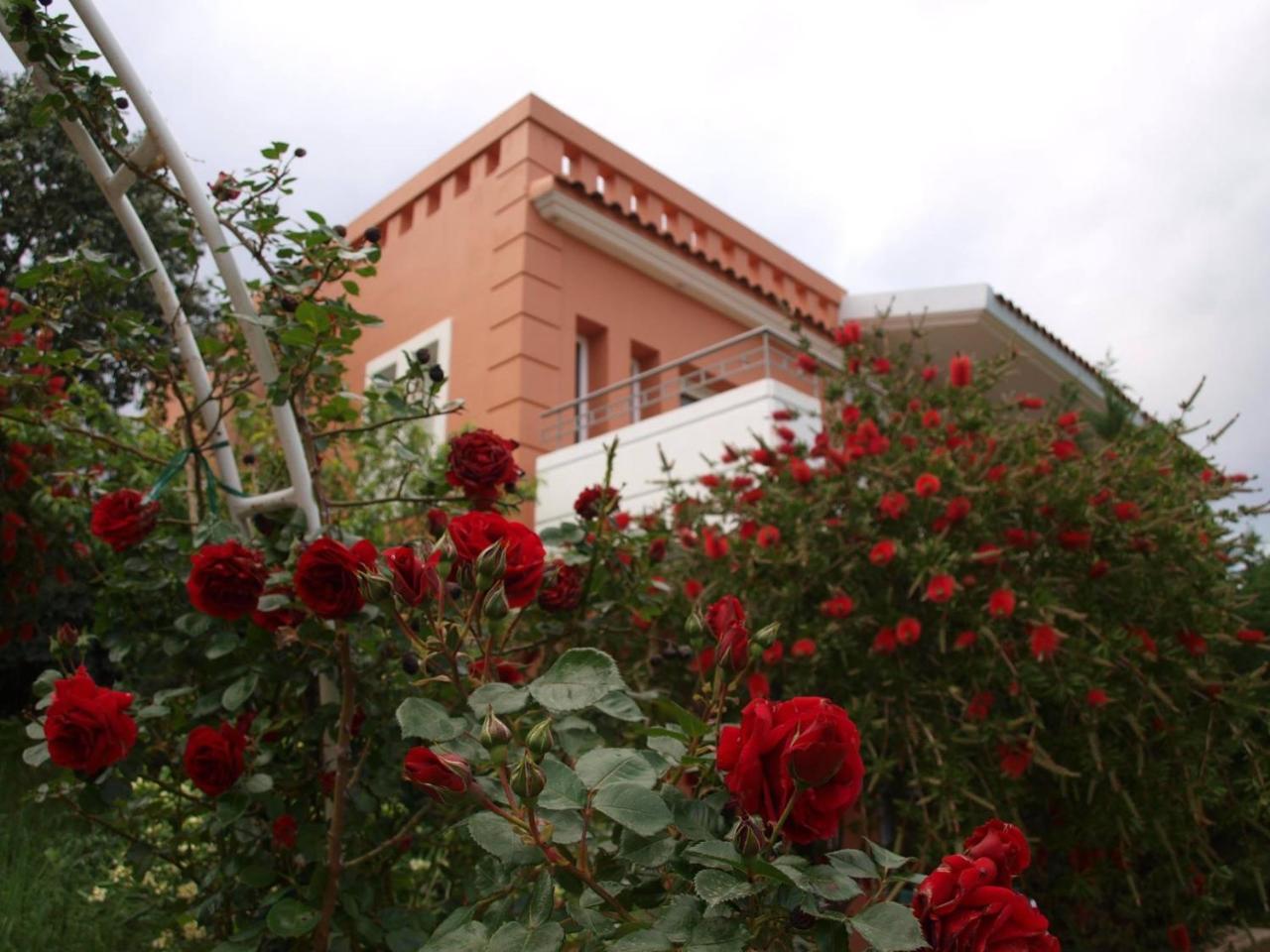 Thalassa Hotel & Spa Paleros Kültér fotó