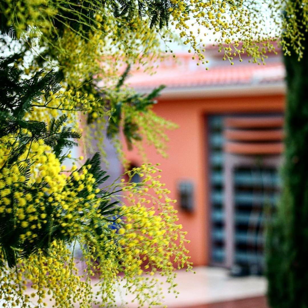 Thalassa Hotel & Spa Paleros Kültér fotó